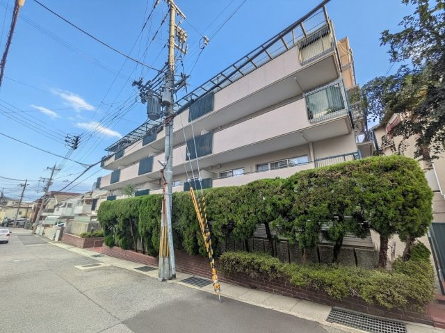 住吉川ダイヤハイツの外観|鉄筋コンクリート造りで重厚感のある外観です。
