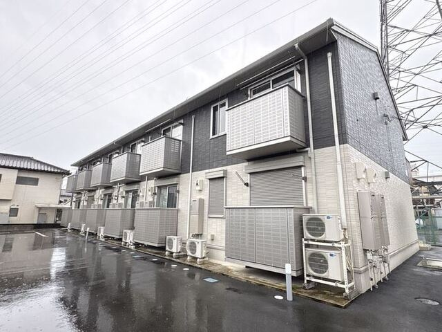 どんぐり３号