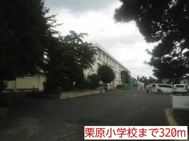 マロン・ドエルＡの周辺|栗原小学校まで320m