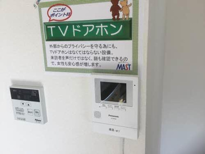 【その他】 | エバーグリーン