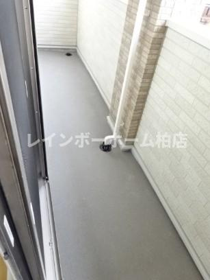 ペット相談可☆ウォークスルークローゼット☆エアコン2基☆のバルコニー|陽当たり良好なバルコニーです