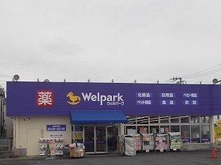 ヴィータ　フェリーチェⅠの周辺|ウェルパークまで300m