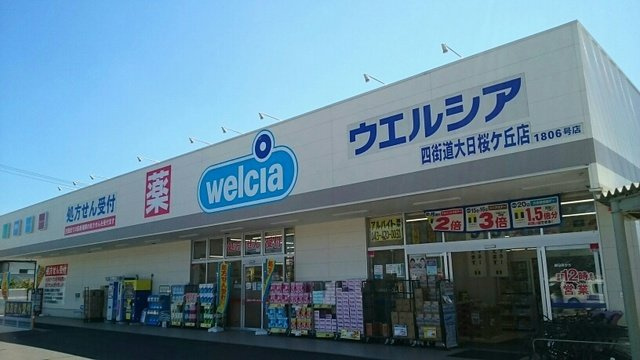 プリンセスの周辺|ウエルシアまで1510m