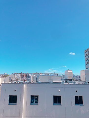 モネ水草の展望