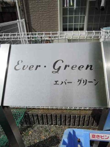 エバー・グリーンのその他