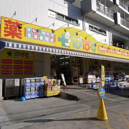 ステージグランデ清澄白河アジールコートの周辺|どらっぐぱぱす江東平野店 310m