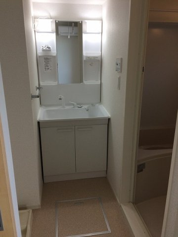 テラスノアイーストの洗面所