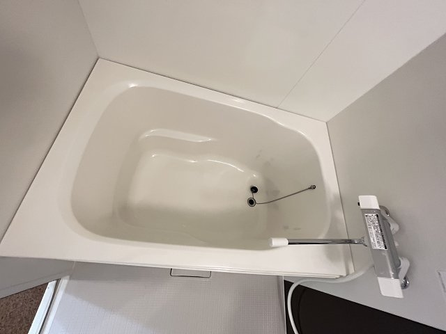 レオーネⅢの浴室