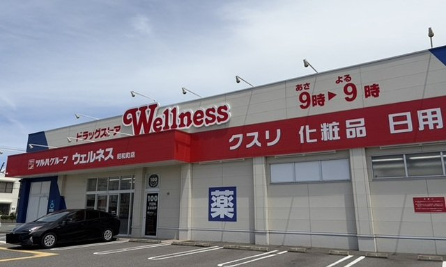 オリエンタルレジデンスⅨの周辺|ウェルネス昭和町店まで850m