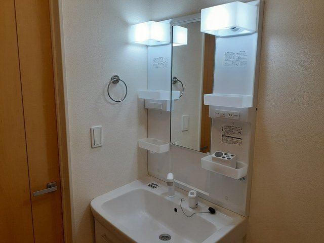 アンダンテ　いわせ野Ⅱの洗面所