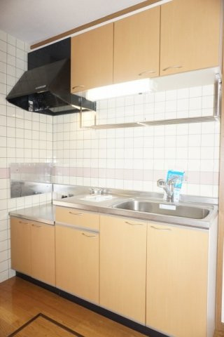 サントゥール　サウスのキッチン|キッチンです