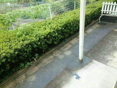 エンジェルコーポラスＢのバルコニー
