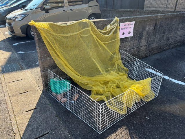 ハピネス幸の洋室