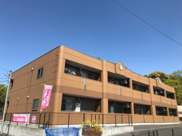 ファイングレイス梅の木