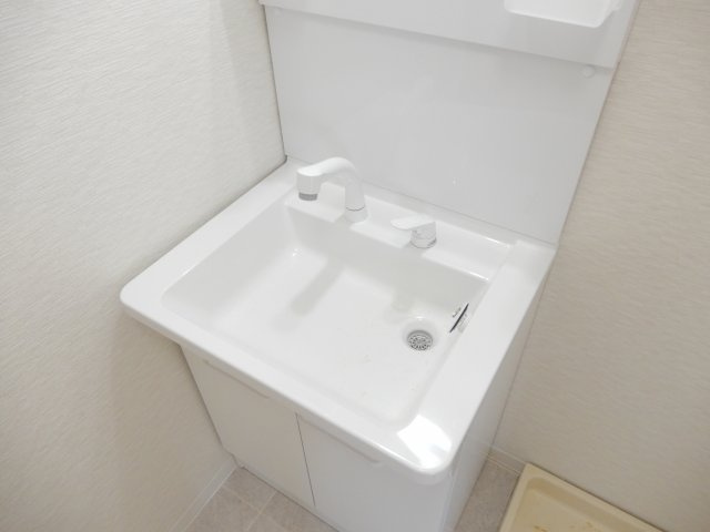 シャトー芥川の洗面所