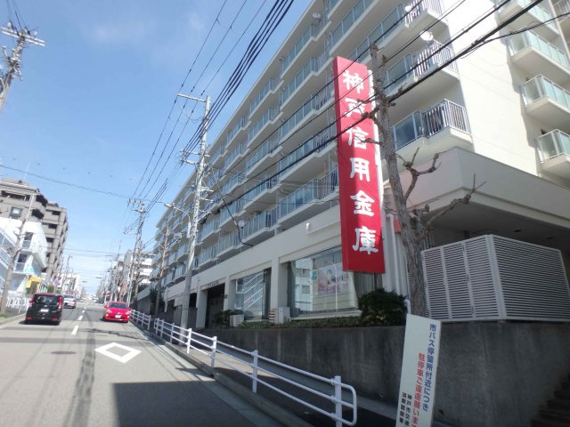 白川台４丁目新築戸建　1号棟の周辺|神戸信用金庫白川台支店