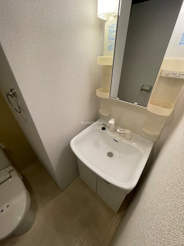 セレブコート日本橋の洗面所