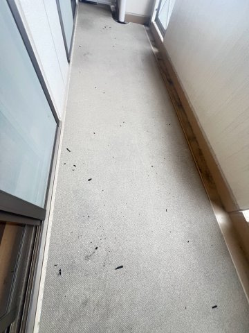 プレラ西宮のバルコニー