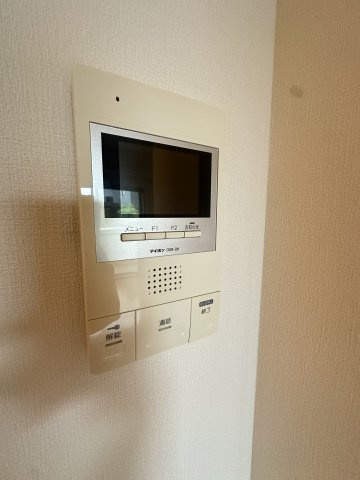アム フルッスのセキュリティ