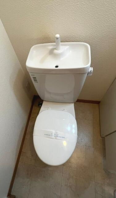 プルメリアのトイレ