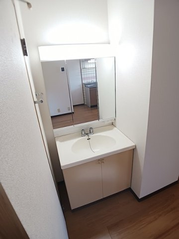 グリーンレジデンスⅡの洗面所