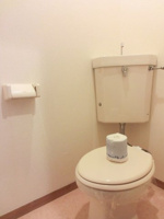 落ち着いた色調のトイレです