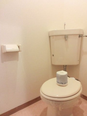 落ち着いた色調のトイレです