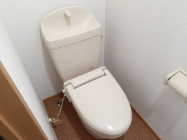 落ち着いた色調のトイレです