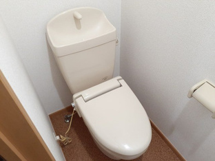 落ち着いた色調のトイレです