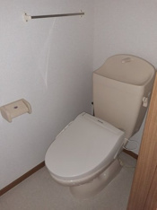 落ち着いた色調のトイレです