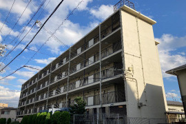 ジークレフ王子の外観