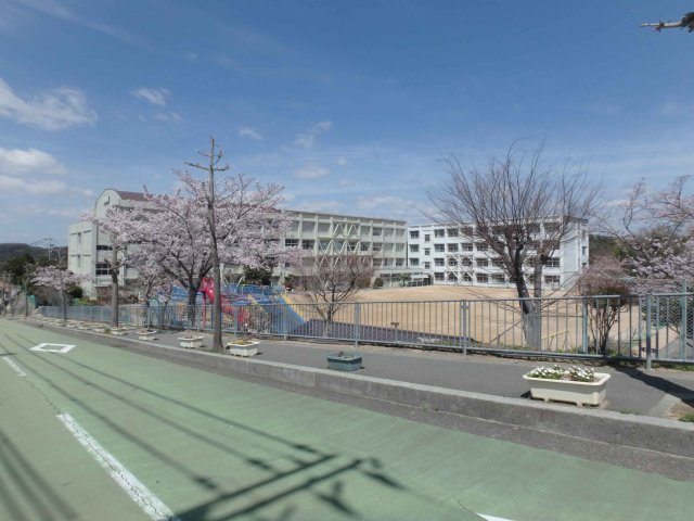 白川台４丁目新築戸建　2号棟の周辺|白川小学校
