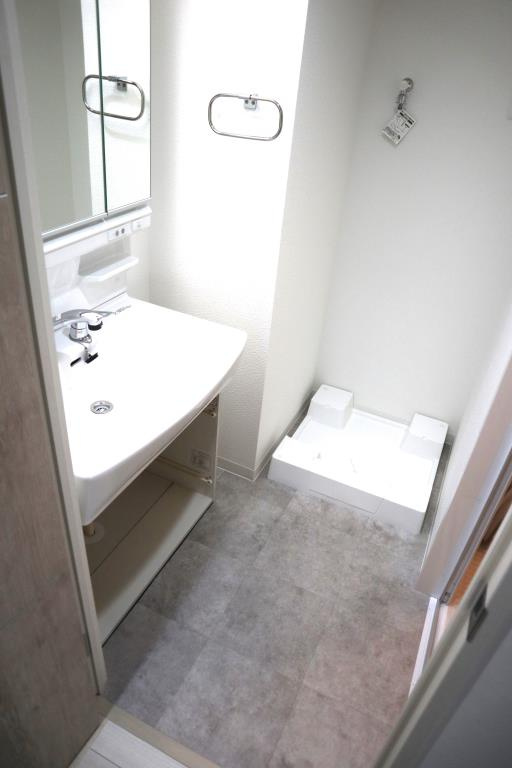 ヴィッラ アプリーレ 西新南の洗面所