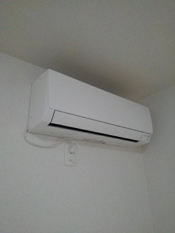 グレイスフル・サンⅩのその他