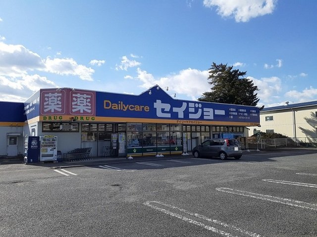 メゾン・ド・ジェルメの周辺|セイジョー　大宮七里店まで800m