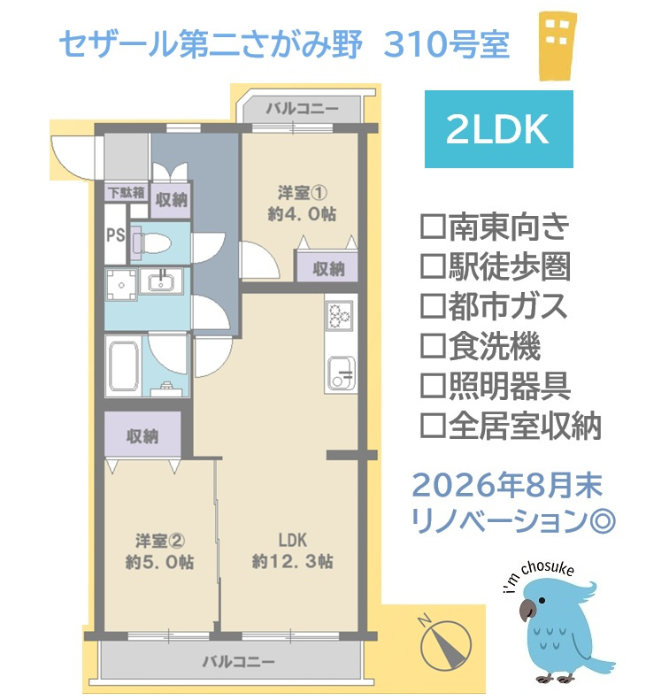 【現地画像あり】セザール第二さがみ野の間取り|約12.3帖のLDKを中心に洋室２部屋を配した２LDK◎　　
リビングと洋室をそれぞれ使いやすく、暮らしの変化にも対応しやすい間取りです。