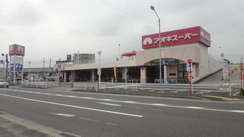 レオネクスト八田西の周辺|約50ｍ　徒歩1分