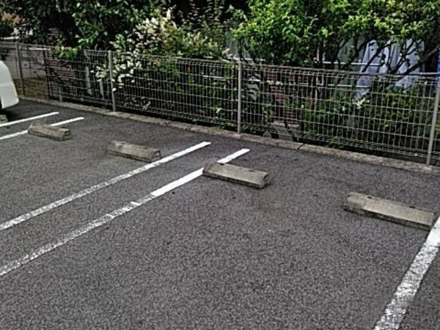 レオネクスト山綱のその他