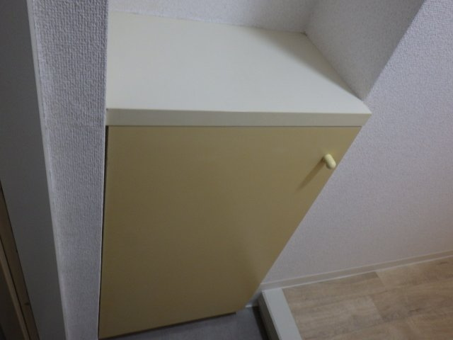 レナジア西堀の玄関|シューズボックス