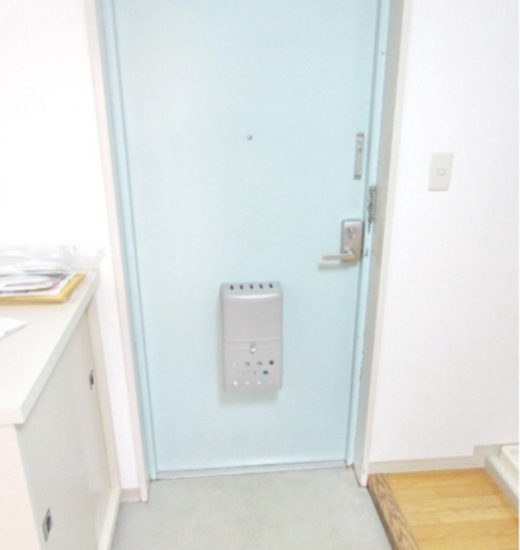 海老名市河原口２丁目の賃貸マンションの玄関