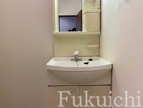 アルパイン松原の洗面所