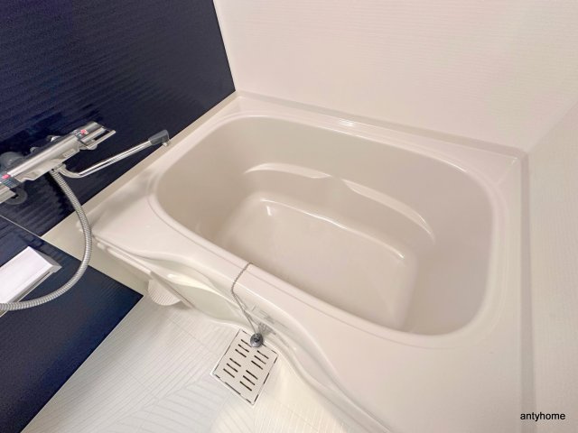 ソルテラス阿波座ウィズ　仲介手数料無料の浴室