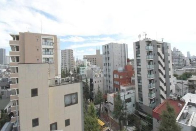 新宿区下落合３丁目の賃貸マンションの展望