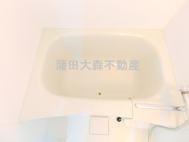 ブライズ蒲田EASTの浴室