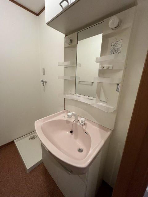 メゾンひまわりの洗面所