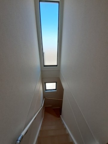フェリチタ　ナギの木のその他