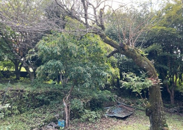 【展望】 | 高台からの眺望が魅力的な物件です。周辺には豊かな自然が広がっており、山が見える静かで美しい田園風景を日常的に楽しむことができます。季節の移ろいを肌で感じられる、眺望に優れた贅沢な住環境です。