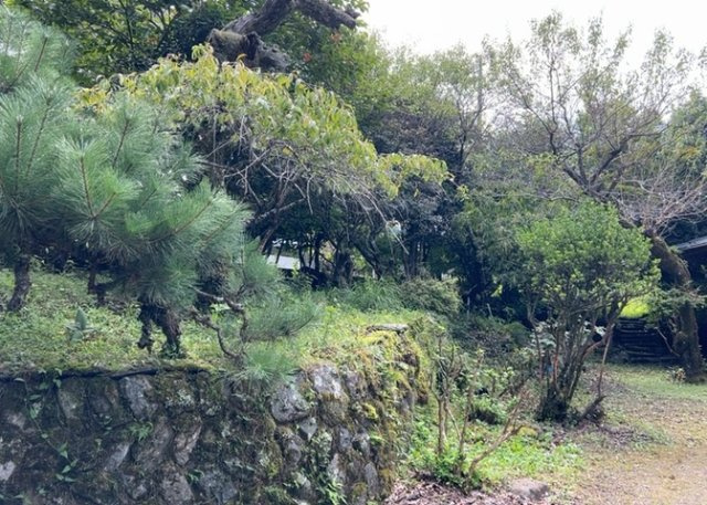 【庭】 | 敷地面積1082.87平米（約327坪）を誇る広々としたお庭です。10坪以上の南庭スペースでは家庭菜園やガーデニングを存分に楽しめます。お子様やペットの遊び場としても最適な広大な屋外空間です。