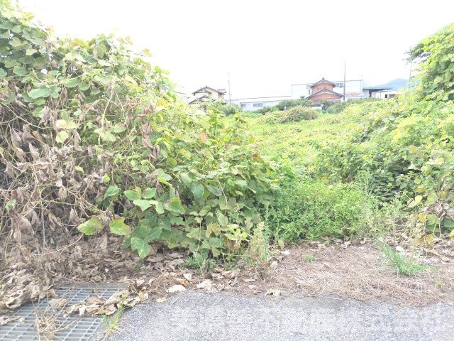 ６２８４２　揖斐郡大野町土地の外観