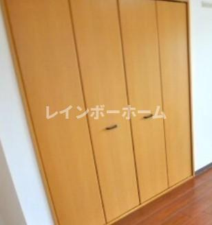 ゴールドクレストの収納